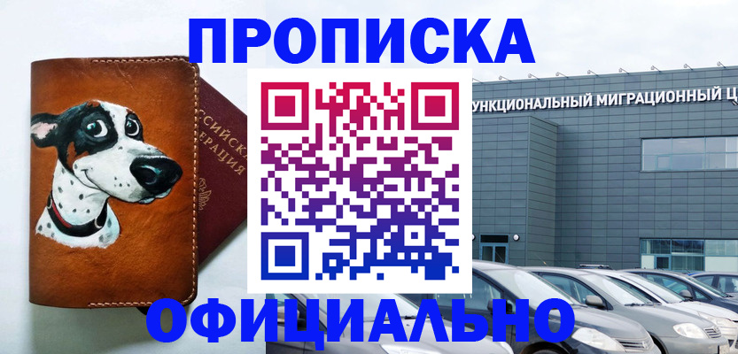 временная прописка в Шлиссельбурге
